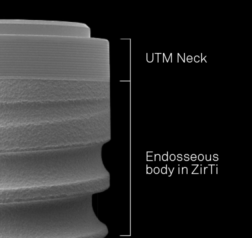 Premium One implant detail